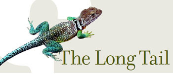 thelongtail2