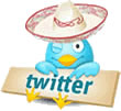twitter_bird_wink_pic